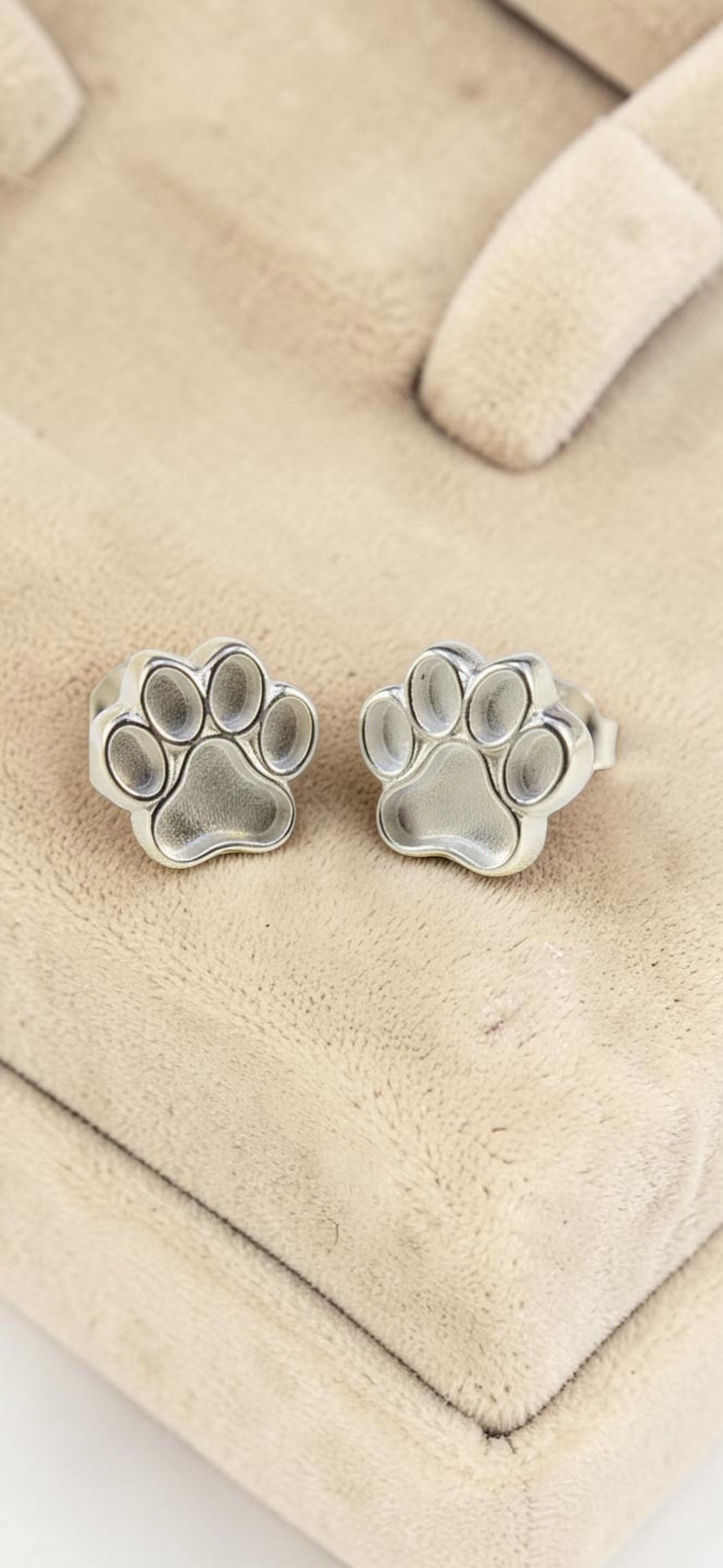 Earrings 23