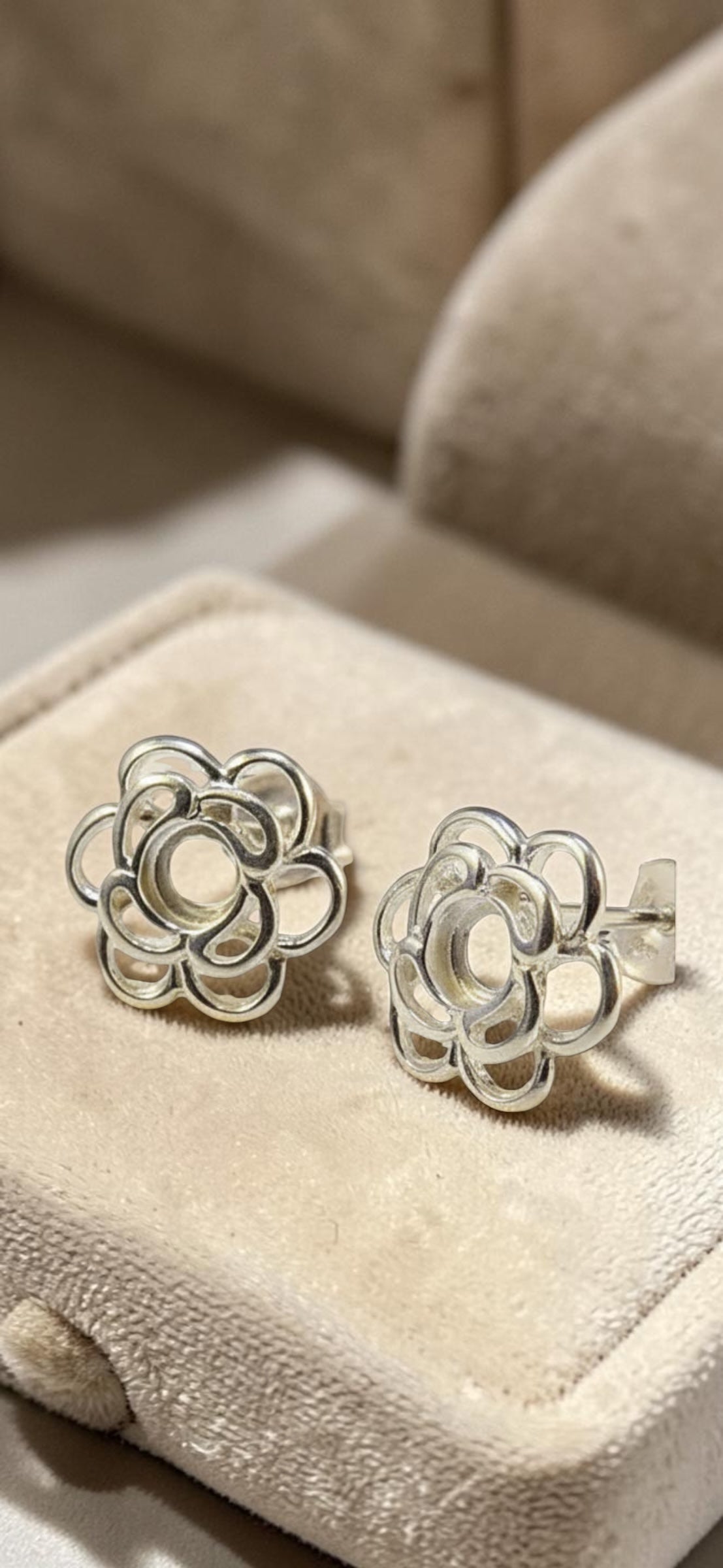 Earrings 15