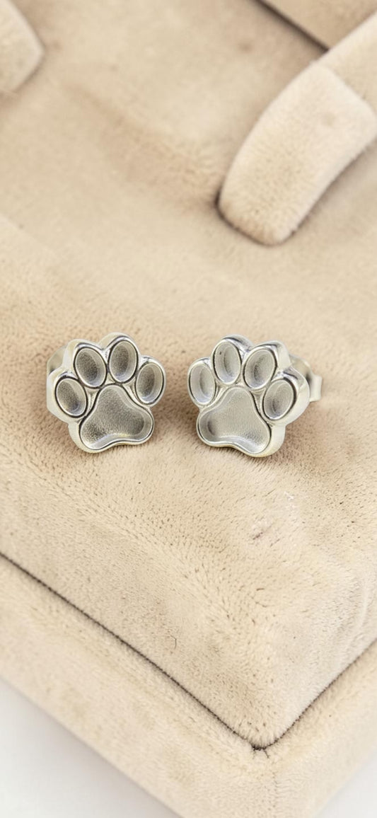Earrings 23