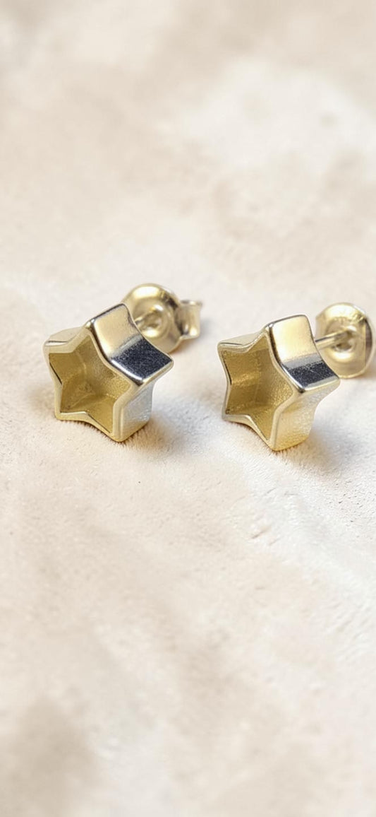 Earrings 22
