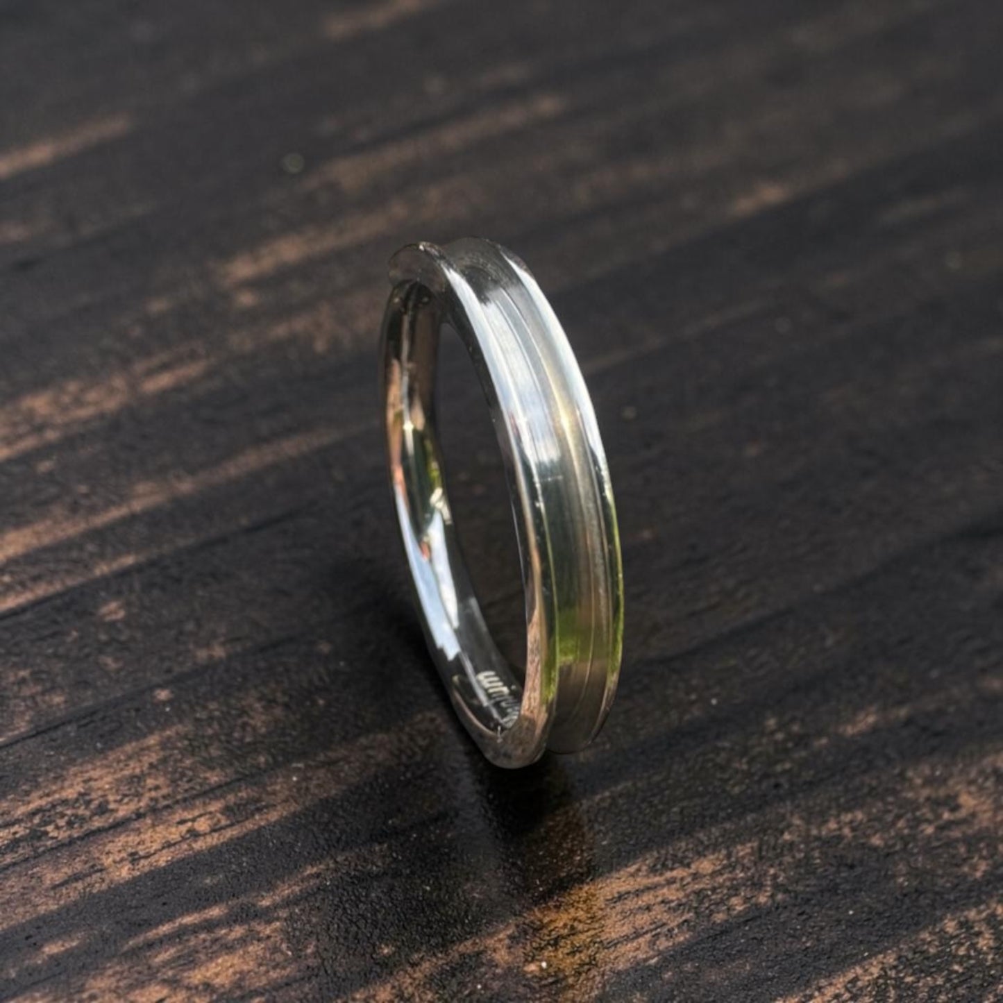 Titanium Ring 1