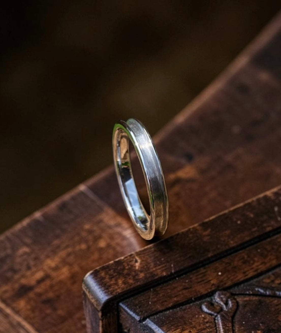 Titanium Ring 2