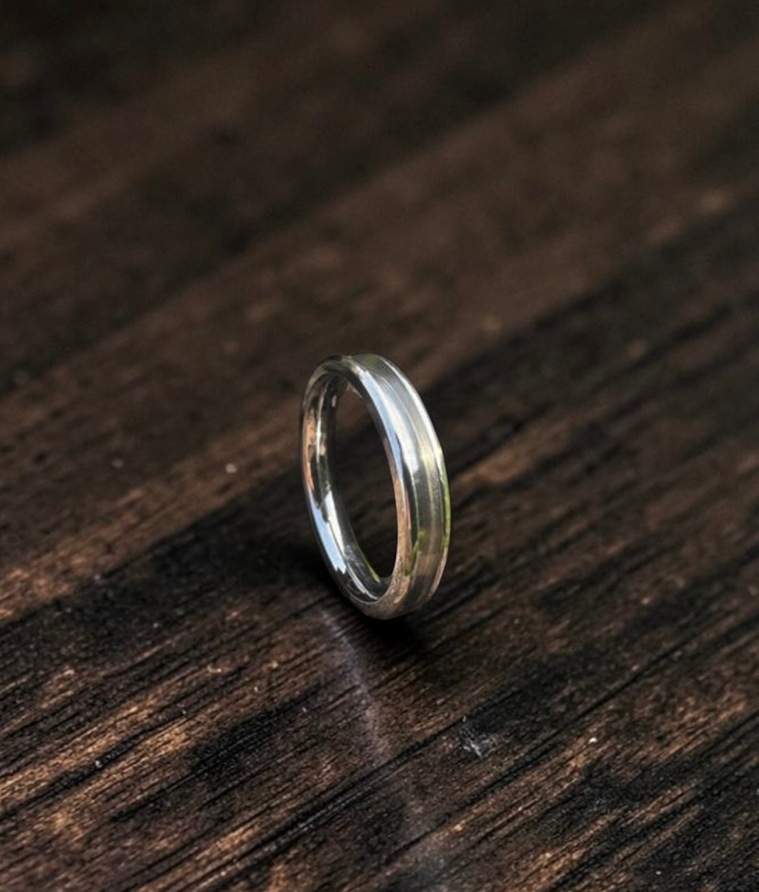 Titanium Ring 5